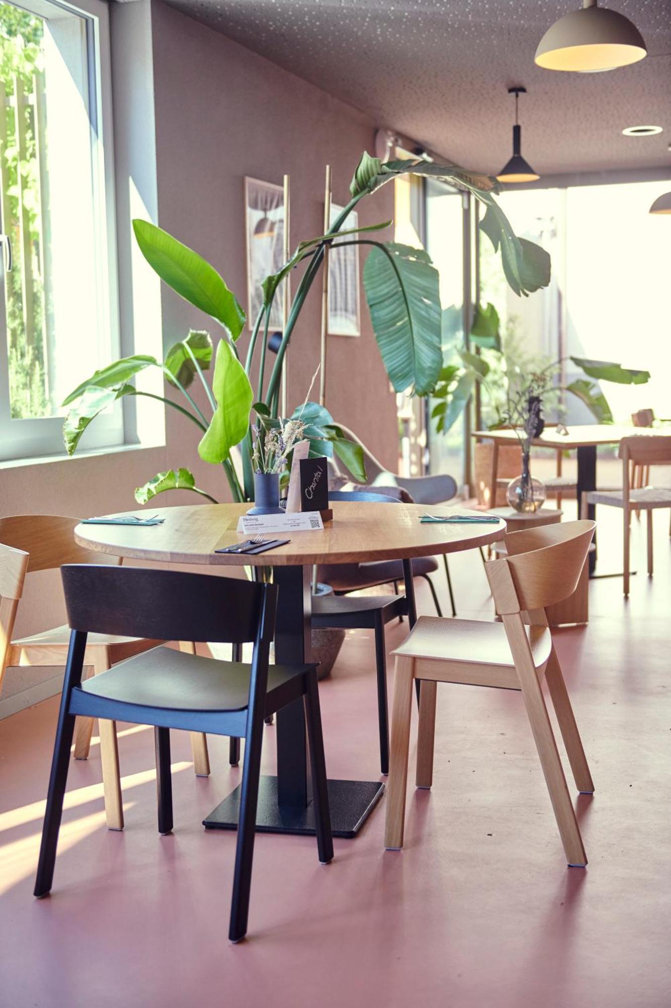 Hotel Balga Natur- Und Bikehotel Balgach Eksteriør bilde